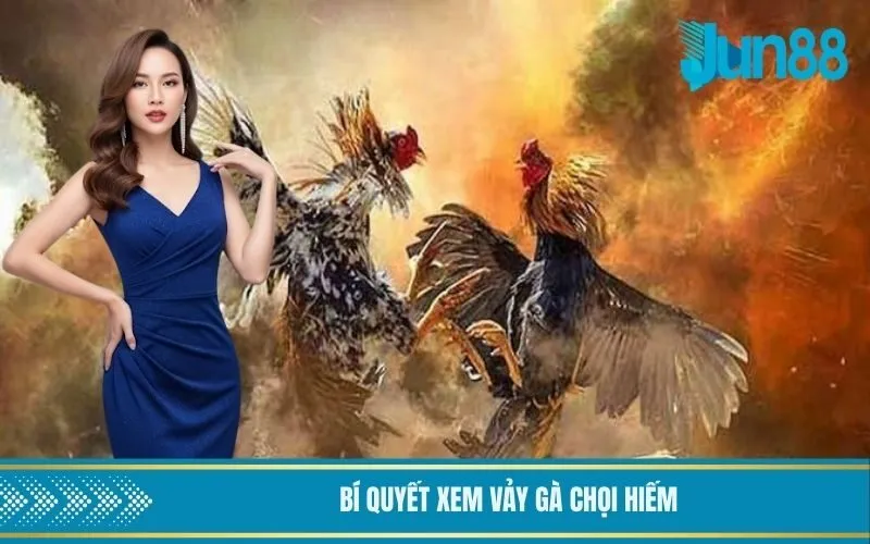 Bí quyết xem vảy gà chọi hiếm