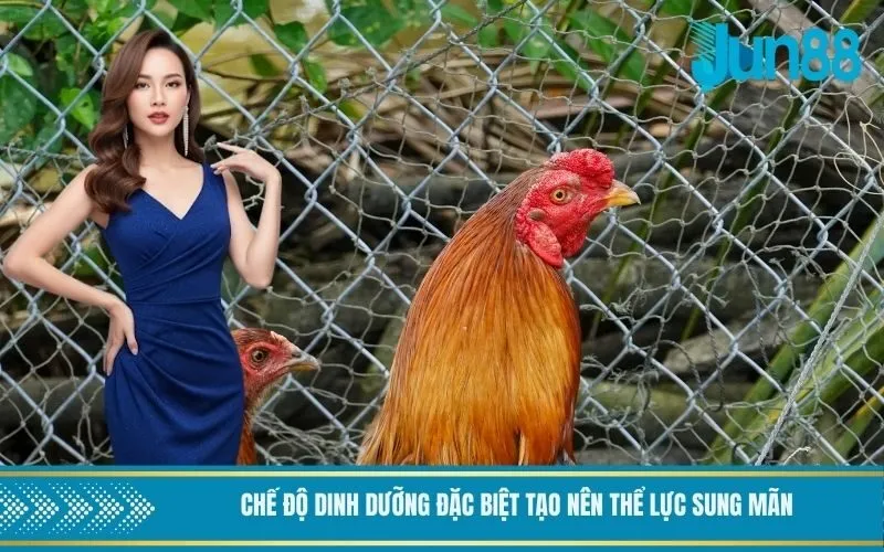 Chế độ dinh dưỡng đặc biệt tạo nên thể lực sung mãn