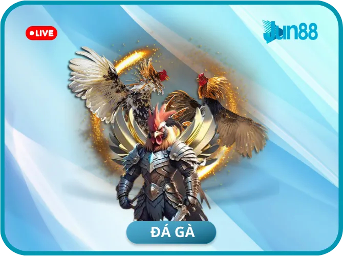 Đá gà Jun88