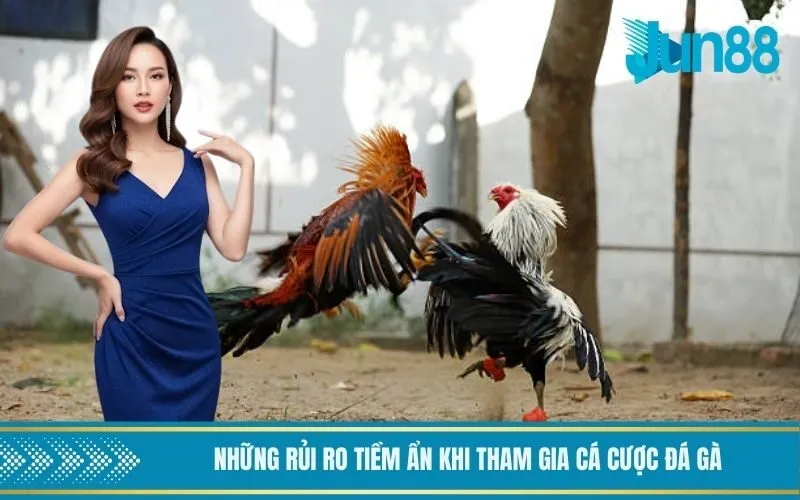 Những rủi ro tiềm ẩn khi tham gia cá cược đá gà