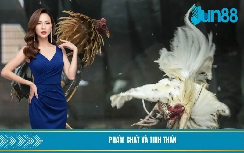 Phẩm chất và tinh thần