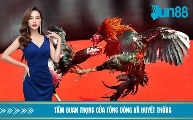 Tầm quan trọng của tông dòng và huyết thống