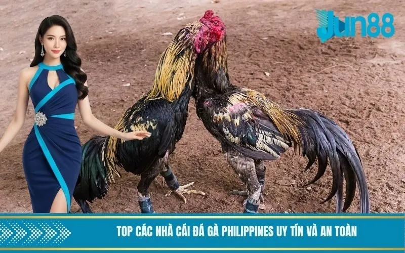 Top các nhà cái đá gà Philippines uy tín và an toàn