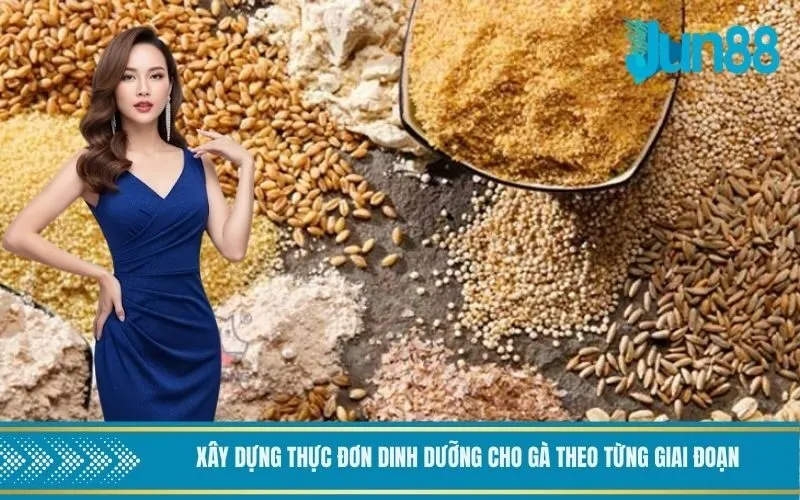 Xây dựng thực đơn dinh dưỡng cho gà theo từng giai đoạn
